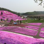 東藻琴の芝桜公園の楽しみ方 周辺の食事や宿泊地のオススメを紹介
