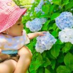 赤ちゃんの外気浴は真夏や雨の日どうする?夜や夕方でも効果あるの?