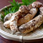松茸選び方や虫食いの見分け方 国産と中国産の違いは?